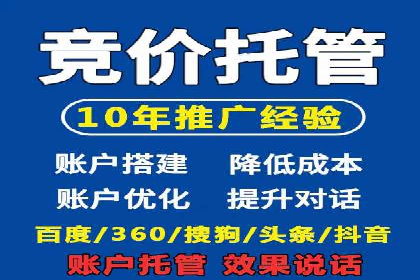 百度推广成功案例：打造行业领军品牌之路